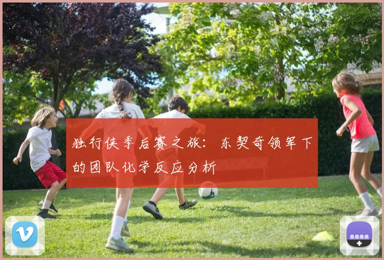 独行侠季后赛之旅：东契奇领军下的团队化学反应分析