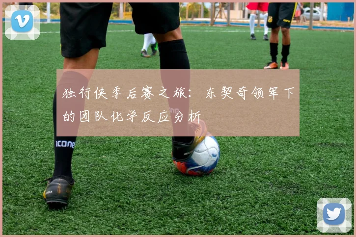 独行侠季后赛之旅：东契奇领军下的团队化学反应分析
