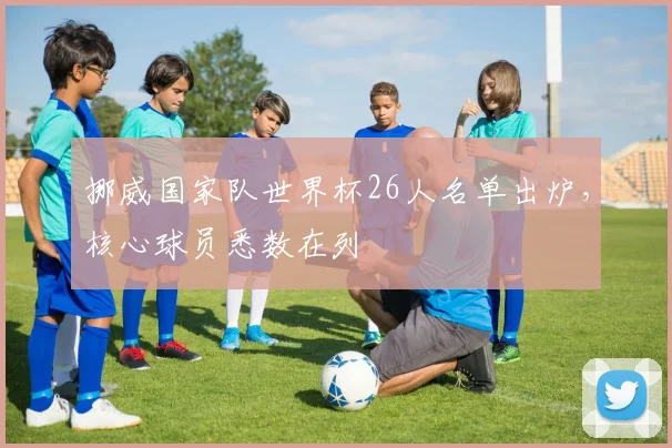 挪威国家队世界杯26人名单出炉，核心球员悉数在列
