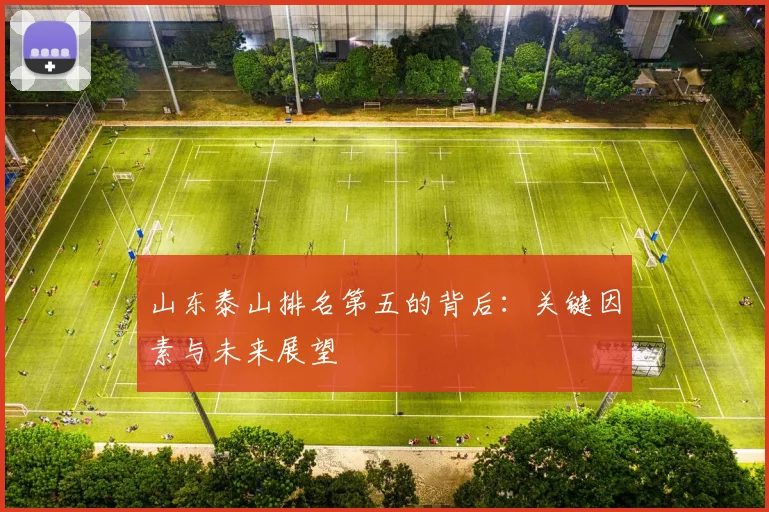 山东泰山排名第五的背后：关键因素与未来展望