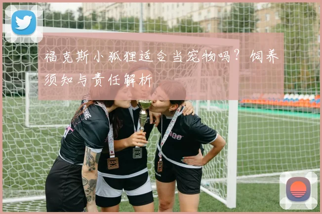 福克斯小狐狸适合当宠物吗？饲养须知与责任解析